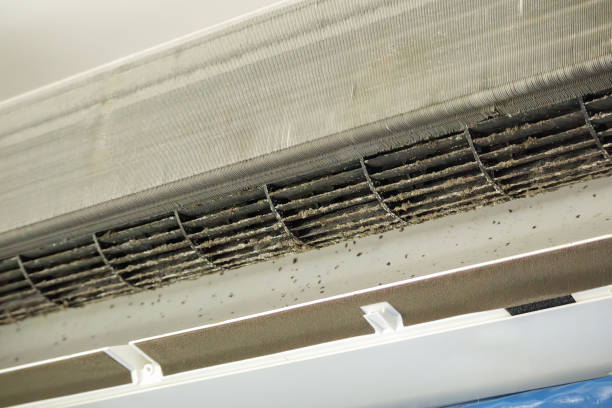 Best Dryer Vent Cleaning Services  in Westmont, PA